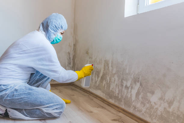 Mold inspector in Cresson performing thermal imaging