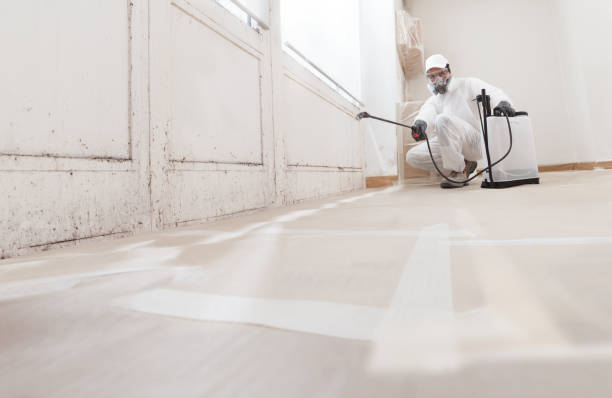 Black mold remediation team in Cresson