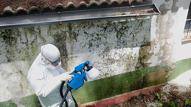 Mold Removal service in Cresson